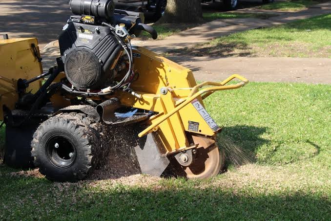 Tree Removal, Stump Grinding & Trimming